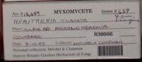 Image Associated With the Occurence